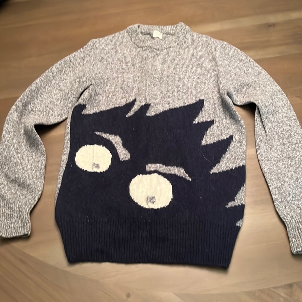 Boys wool Crewcuts sweater